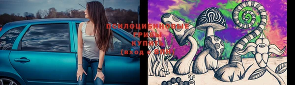 соль ск Горнозаводск