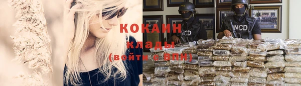 амф Горняк