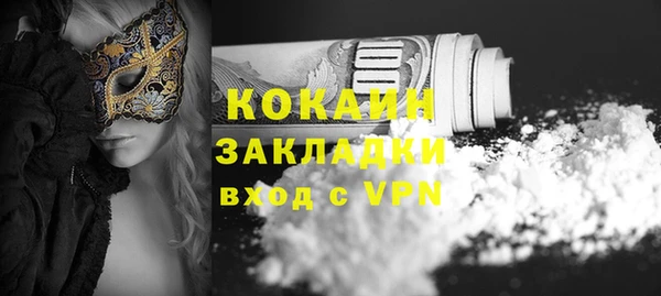 амф Горняк