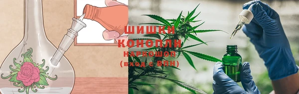 амф Горняк