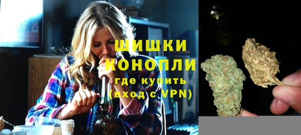 амф Горняк