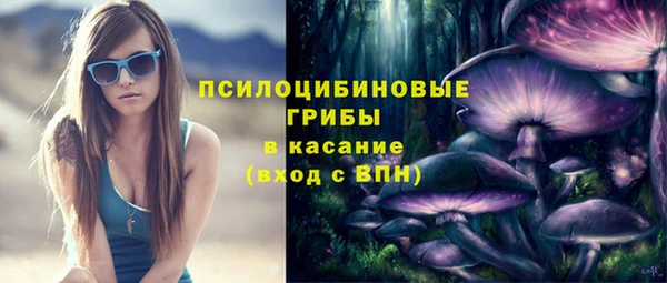 соль ск Горнозаводск