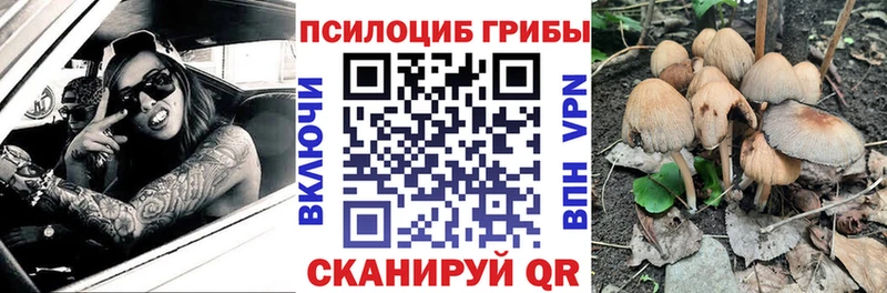 Купить закладки  Тейково  Галлюциногенные грибы мицелий 